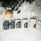 PREORDER Mens Activated Charcoal Soap Bars