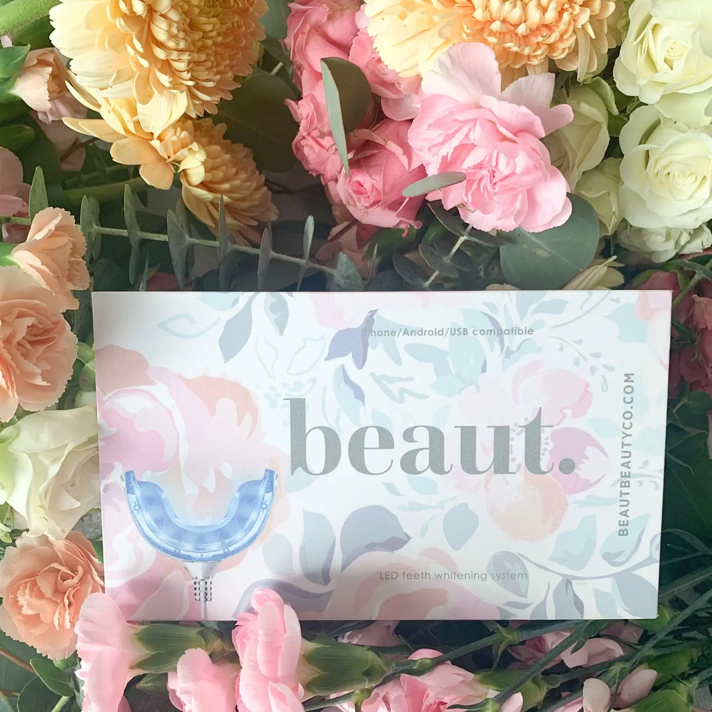 Camellia Kit by beaut.