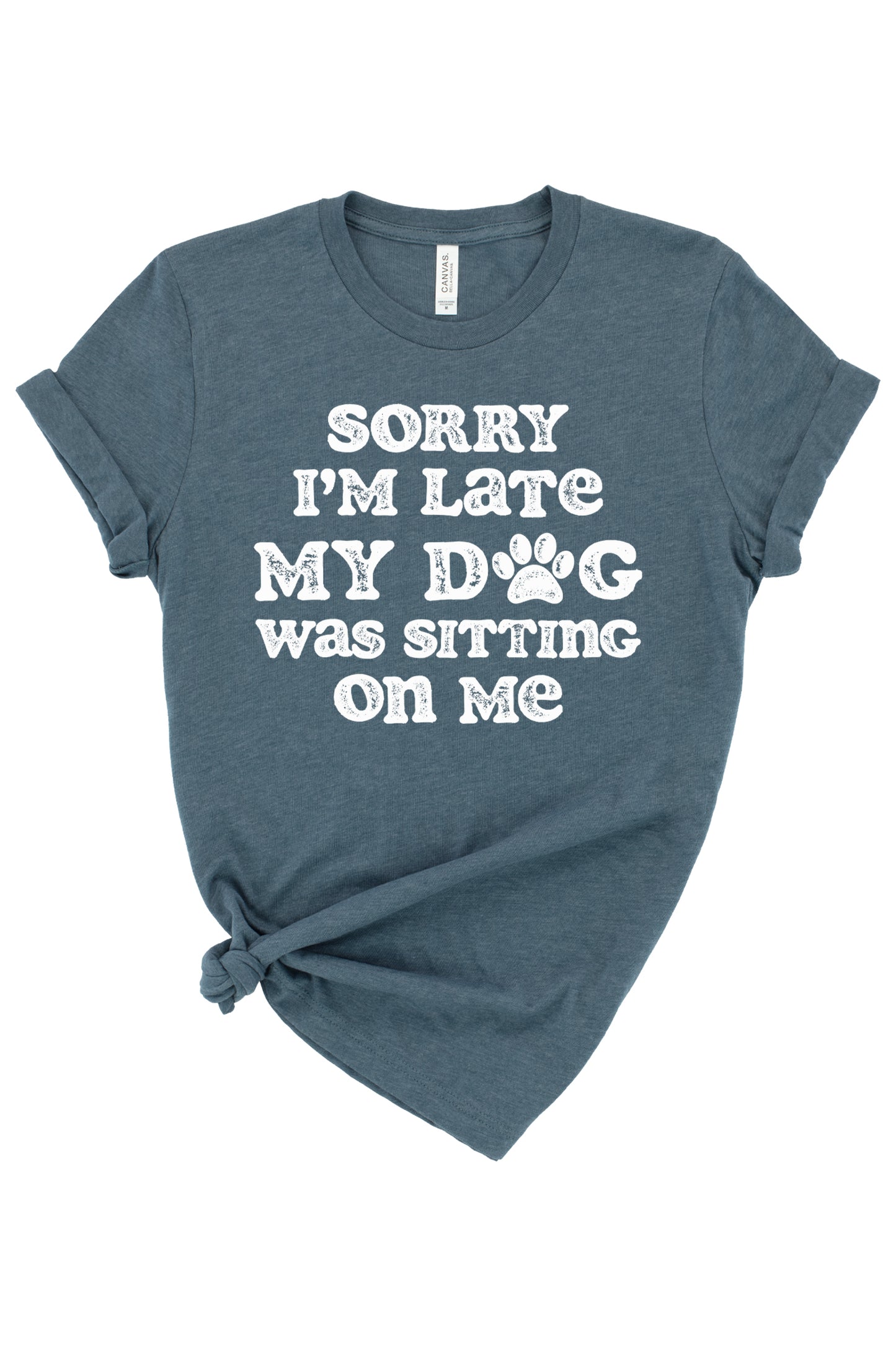 My Dog Was Sitting On Me Graphic Tee